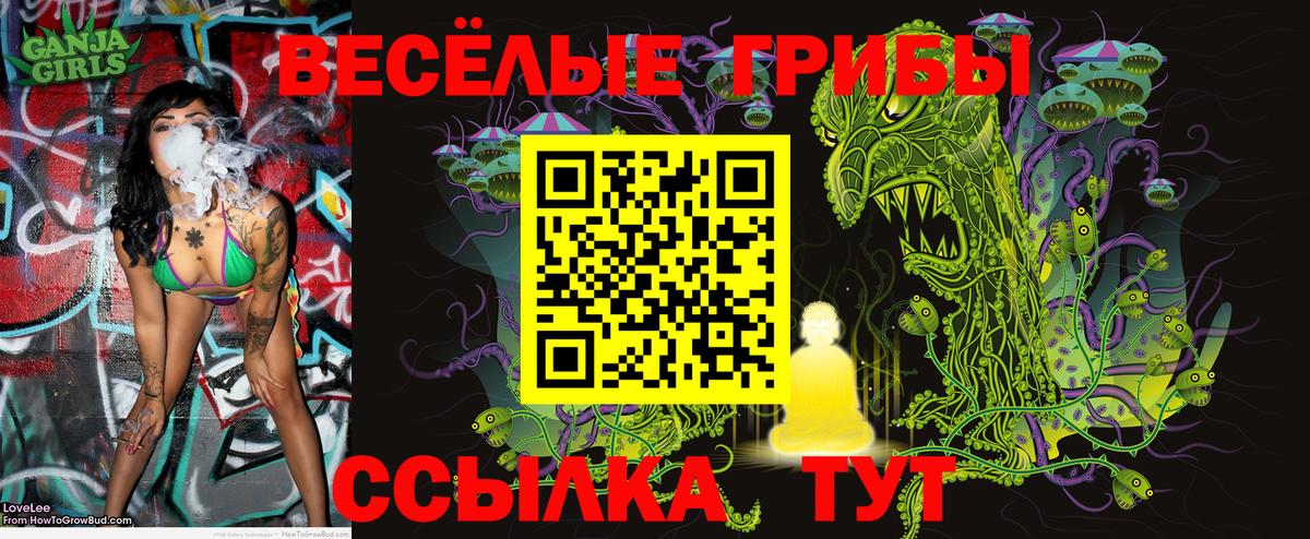 купить   Галлюциногенные грибы Cubensis  Вход с VPN  Каменск-Уральский  Псилоцибиновые грибы Psilocybine cubensis 